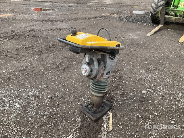 2021 Wacker Neuson BS60-2I Jumping Jack Tamper - Döngölőgép: 4 kép. 2021 Wacker Neuson BS60-2I Jumping Jack Tamper - Döngölőgép: 4 kép.