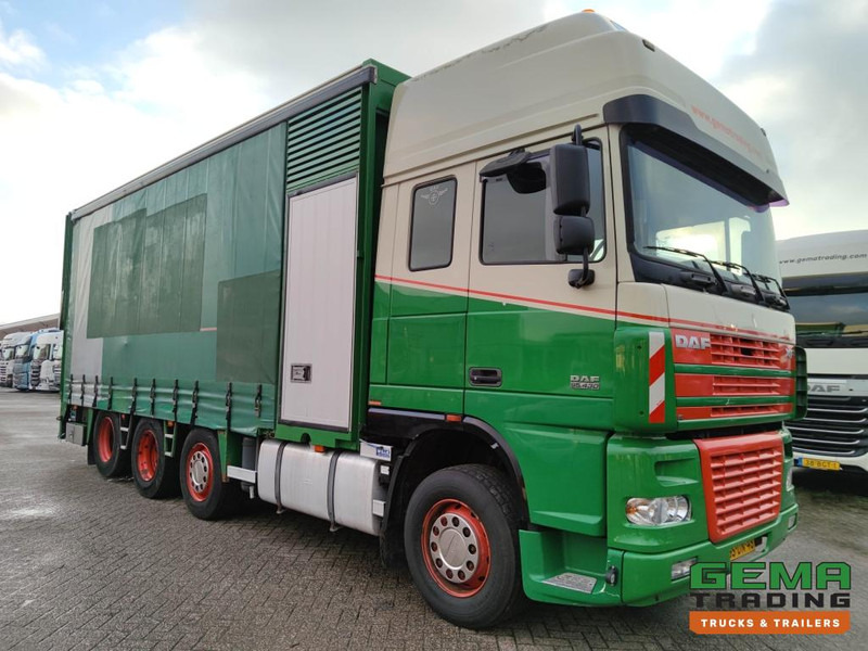 DAF FAK XF95.430 8x2 SuperSpaceCab Euro3 - CurtainSider 7.31m + Ramp 16T - MachineTransporter - 6 Persons (V558) - Autószállító teherautó: 3 kép. DAF FAK XF95.430 8x2 SuperSpaceCab Euro3 - CurtainSider 7.31m + Ramp 16T - MachineTransporter - 6 Persons (V558) - Autószállító teherautó: 3 kép.