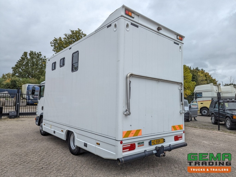 MAN TGL 12.250 4x2 Euro5 EEV RC HorseTruck - 2a3 Paards - 135.000km - MARGE (V821) - Lószállító kamion: 4 kép. MAN TGL 12.250 4x2 Euro5 EEV RC HorseTruck - 2a3 Paards - 135.000km - MARGE (V821) - Lószállító kamion: 4 kép.