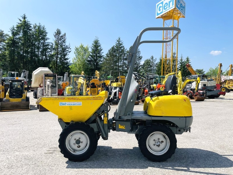 Neuson 1001 (3631) - Minidömper: 1 kép. Neuson 1001 (3631) - Minidömper: 1 kép.