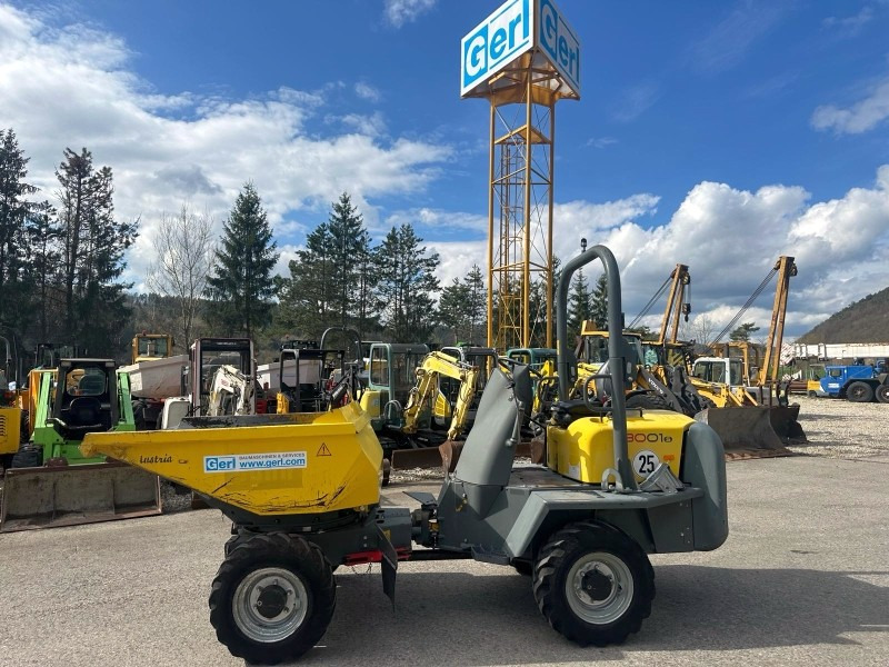 Neuson 3001 (3861) - Minidömper: 1 kép. Neuson 3001 (3861) - Minidömper: 1 kép.