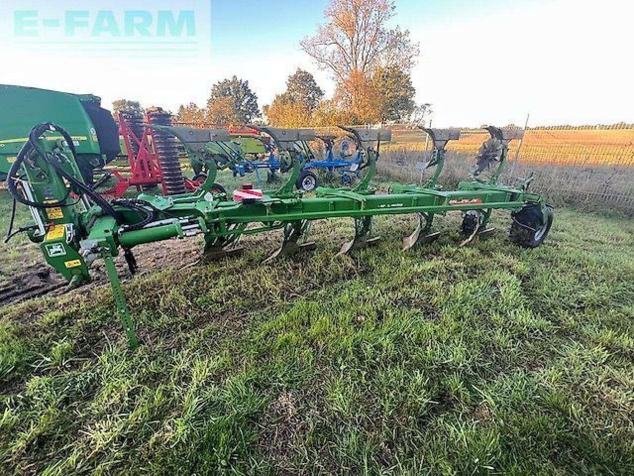 Amazone cayros xs - Eke: 1 kép. Amazone cayros xs - Eke: 1 kép.