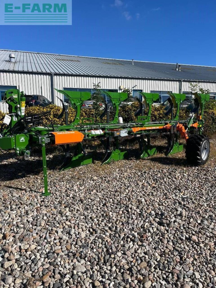 Amazone teres - Eke: 1 kép. Amazone teres - Eke: 1 kép.