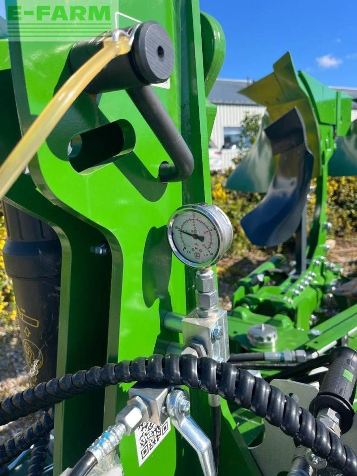 Amazone teres - Eke: 5 kép. Amazone teres - Eke: 5 kép.