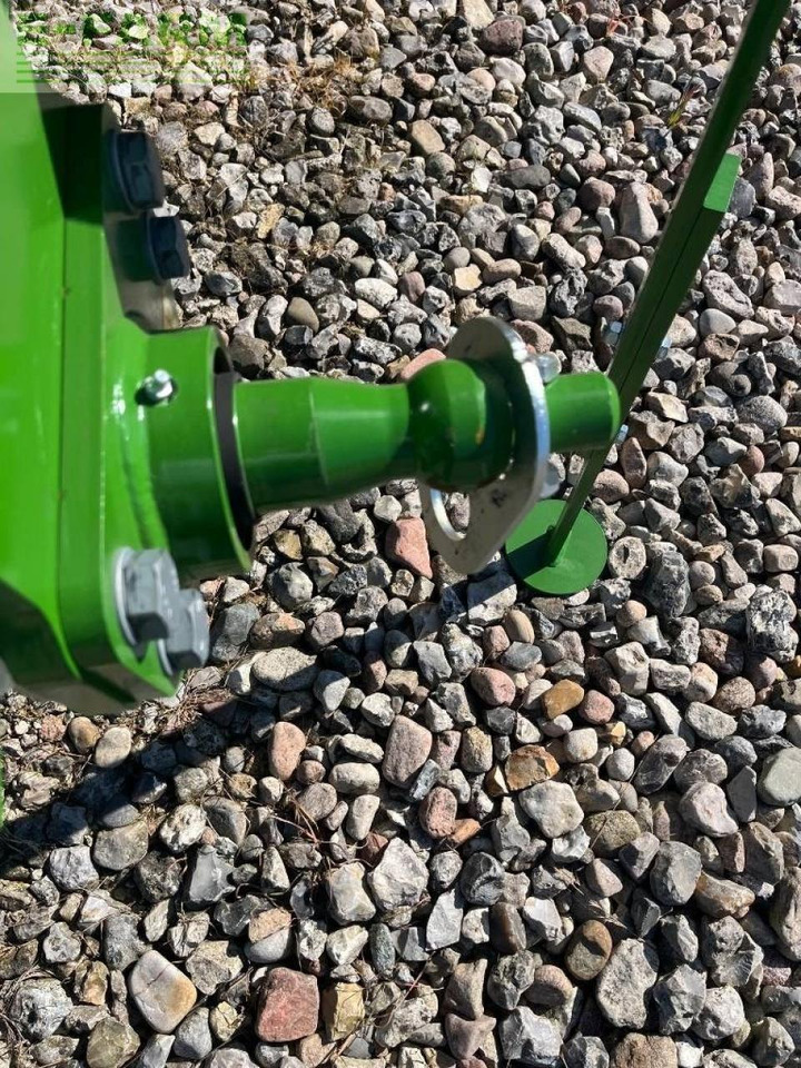 Amazone teres - Eke: 4 kép. Amazone teres - Eke: 4 kép.