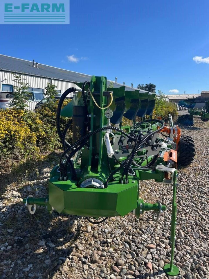 Amazone teres - Eke: 2 kép. Amazone teres - Eke: 2 kép.