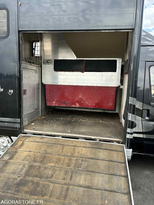 Fourgon FORD - Transport de 2 Chevaux - 2004 - 137 510 KM - Furgon: 3 kép. Fourgon FORD - Transport de 2 Chevaux - 2004 - 137 510 KM - Furgon: 3 kép.