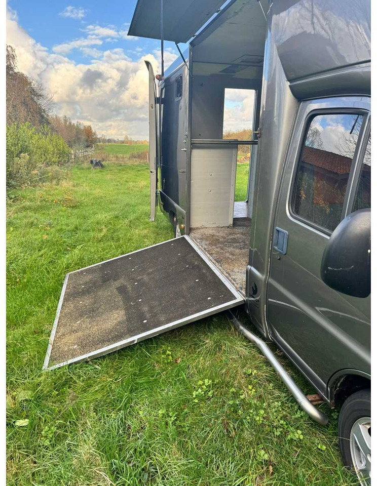 1999 FIAT DUCATO MAXI 18 2.8 ID 598-140 HORSE TRUCK - Kisteherautó: 5 kép. 1999 FIAT DUCATO MAXI 18 2.8 ID 598-140 HORSE TRUCK - Kisteherautó: 5 kép.