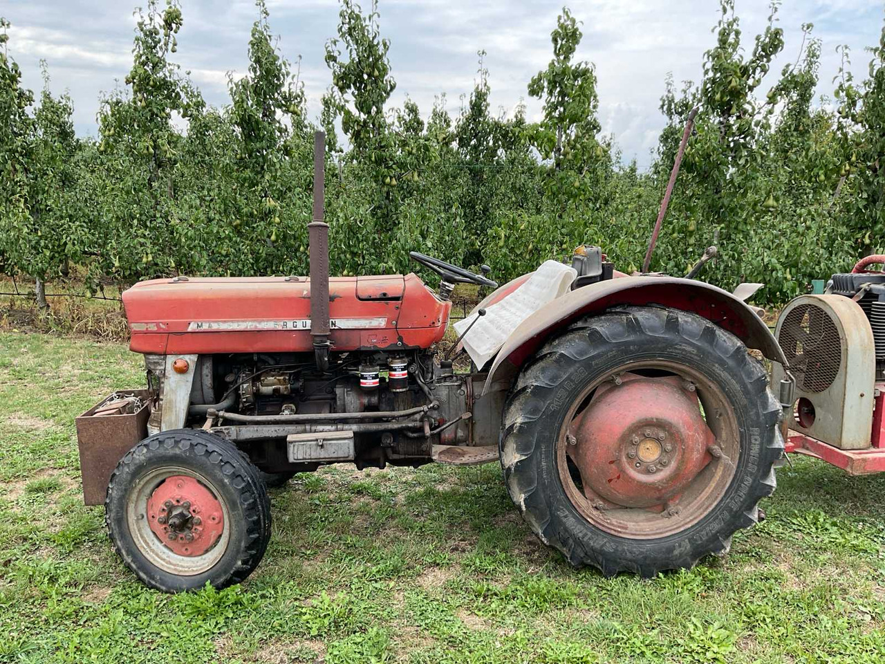 Massey Ferguson 135 - Traktor: 2 kép. Massey Ferguson 135 - Traktor: 2 kép.