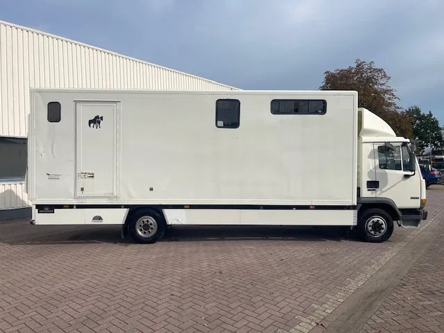 DAF LF 45.130 CLEAN HORSES NL-TRUCK - Lószállító kamion: 5 kép. DAF LF 45.130 CLEAN HORSES NL-TRUCK - Lószállító kamion: 5 kép.