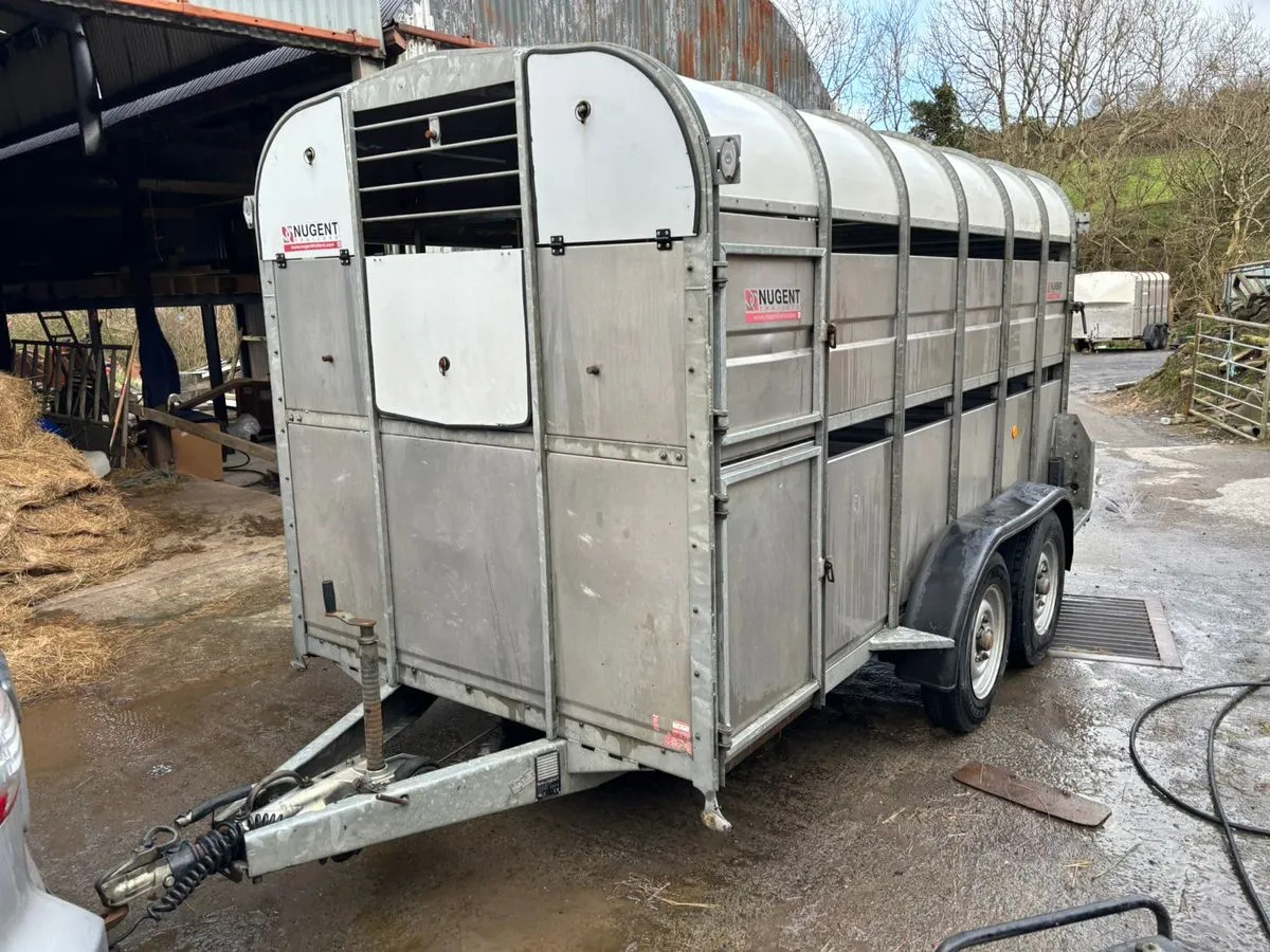 12X6 Nugent Livestock Trailer - Pótkocsi állatszállító: 5 kép. 12X6 Nugent Livestock Trailer - Pótkocsi állatszállító: 5 kép.