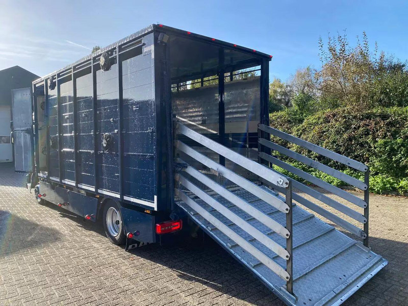 DAF LF 280 - Állatszállító teherautó: 5 kép. DAF LF 280 - Állatszállító teherautó: 5 kép.