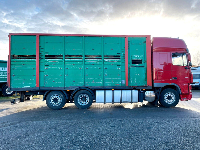 DAF XF 105.460 2-Stock Finkl Viehaufbau / Lenkachs - Állatszállító teherautó: 4 kép. DAF XF 105.460 2-Stock Finkl Viehaufbau / Lenkachs - Állatszállító teherautó: 4 kép.