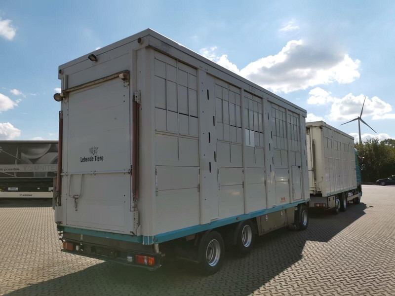 DAF XF 105.460 - Animal transporter + trailer - Állatszállító teherautó: 3 kép. DAF XF 105.460 - Animal transporter + trailer - Állatszállító teherautó: 3 kép.
