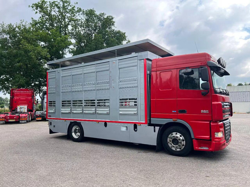 DAF XF 106.460 - Finkl Animal transporter - Állatszállító teherautó: 2 kép. DAF XF 106.460 - Finkl Animal transporter - Állatszállító teherautó: 2 kép.