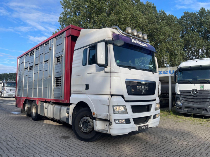 MAN TGX 26.400 6x2-2 LL 3 Stück Finkl Hubdach - Állatszállító teherautó: 5 kép. MAN TGX 26.400 6x2-2 LL 3 Stück Finkl Hubdach - Állatszállító teherautó: 5 kép.