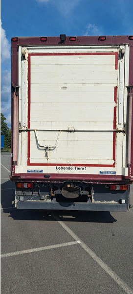 Mercedes-Benz Actros 1851 - Állatszállító teherautó: 5 kép. Mercedes-Benz Actros 1851 - Állatszállító teherautó: 5 kép.