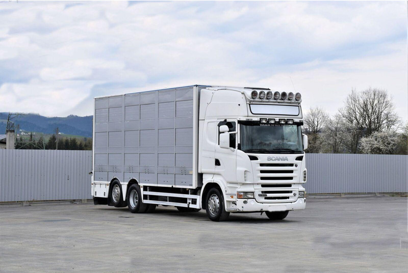 Scania R 500 - Állatszállító teherautó: 2 kép. Scania R 500 - Állatszállító teherautó: 2 kép.