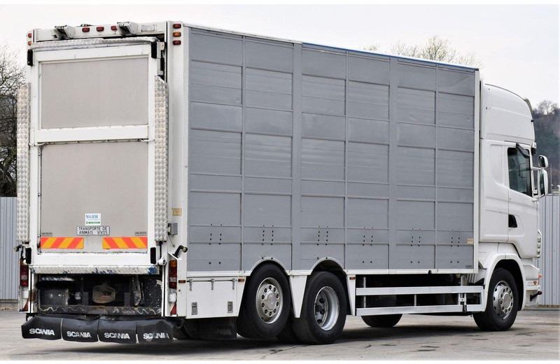 Scania R 500 - Állatszállító teherautó: 5 kép. Scania R 500 - Állatszállító teherautó: 5 kép.