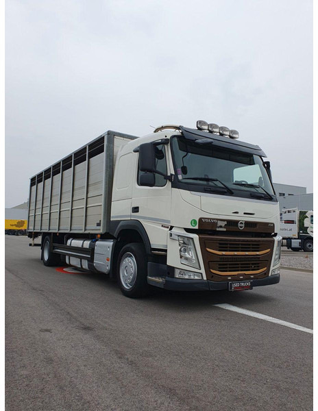 Volvo FM 500 Viehtransporter ( Rind / beef ) - Állatszállító teherautó: 1 kép. Volvo FM 500 Viehtransporter ( Rind / beef ) - Állatszállító teherautó: 1 kép.
