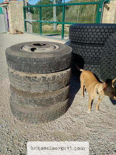 4 x used 7.50-16 LT tyres on 6 studs rims for Toyota Dyna 300 - Komplett kerék: 3 kép. 4 x used 7.50-16 LT tyres on 6 studs rims for Toyota Dyna 300 - Komplett kerék: 3 kép.