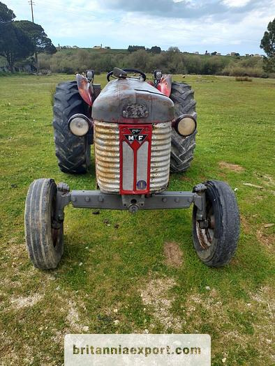 MASSEY FERGUSON 65 | 4 cylinder diesel | disc brakes - Traktor: 2 kép. MASSEY FERGUSON 65 | 4 cylinder diesel | disc brakes - Traktor: 2 kép.