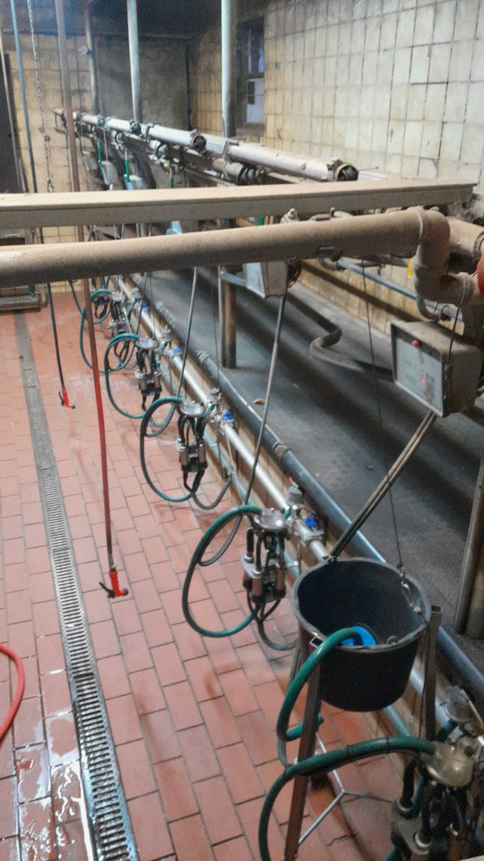 Melkstand - Fejőberendezés: 2 kép. Melkstand - Fejőberendezés: 2 kép.