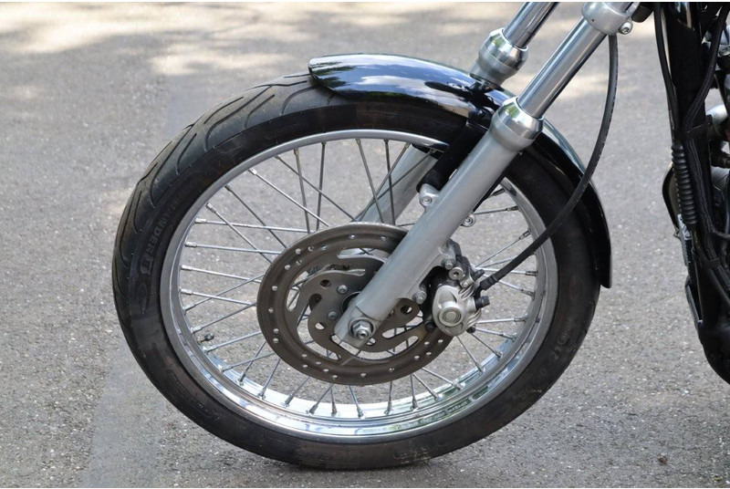 Motorkerékpár Harley-Davidson Sportster XL883: 10 kép.